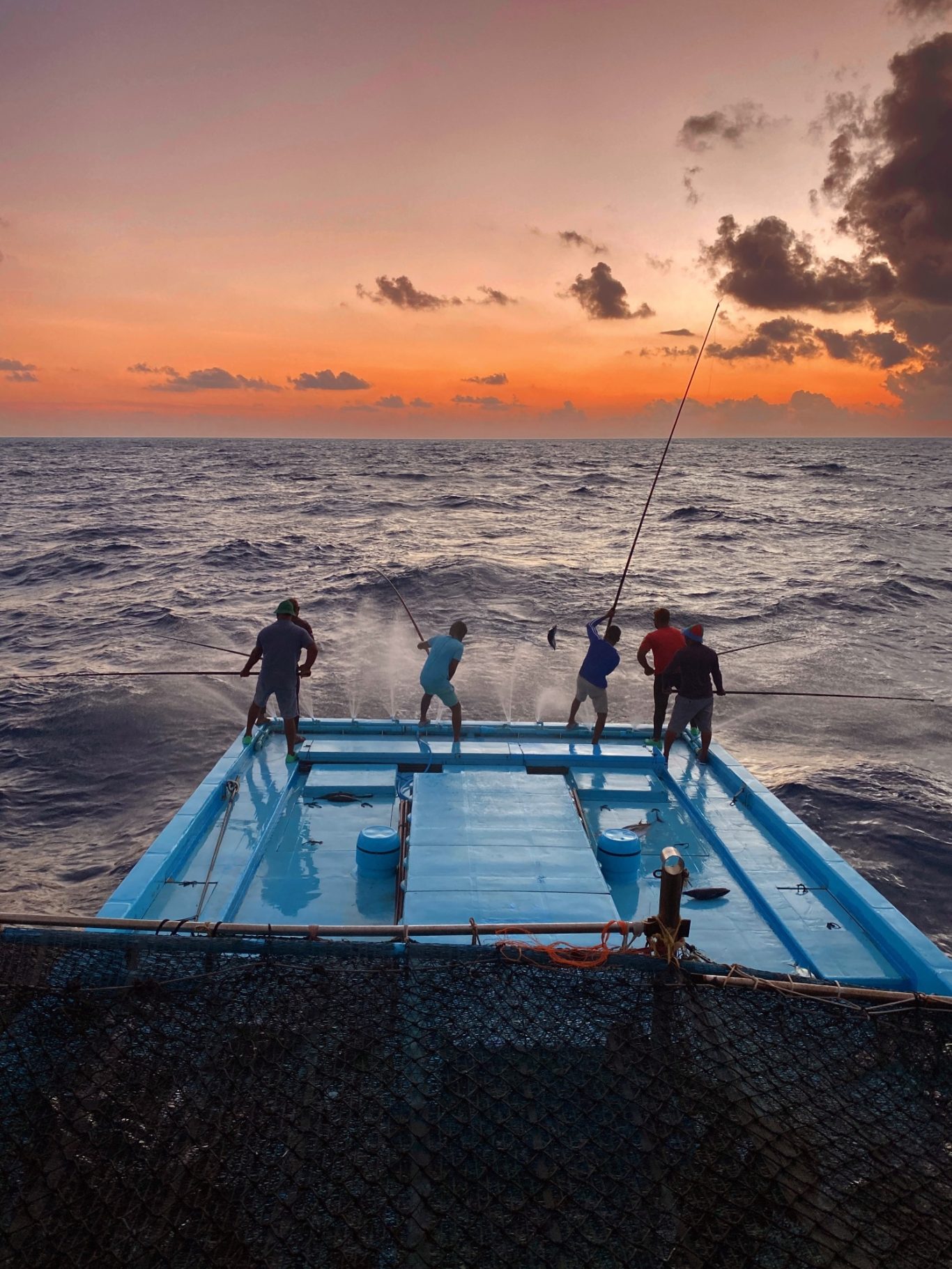 Fair trade fishery certification
